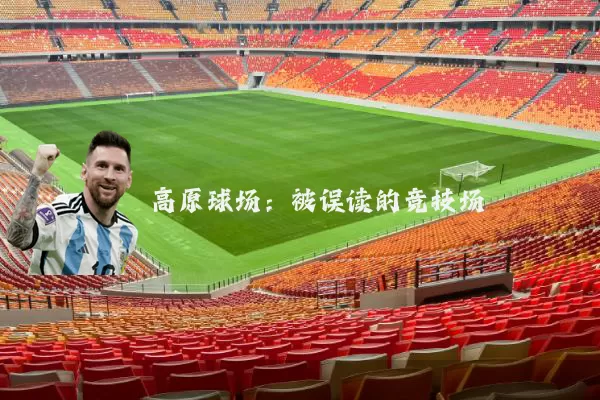 高原球场：被误读的竞技场